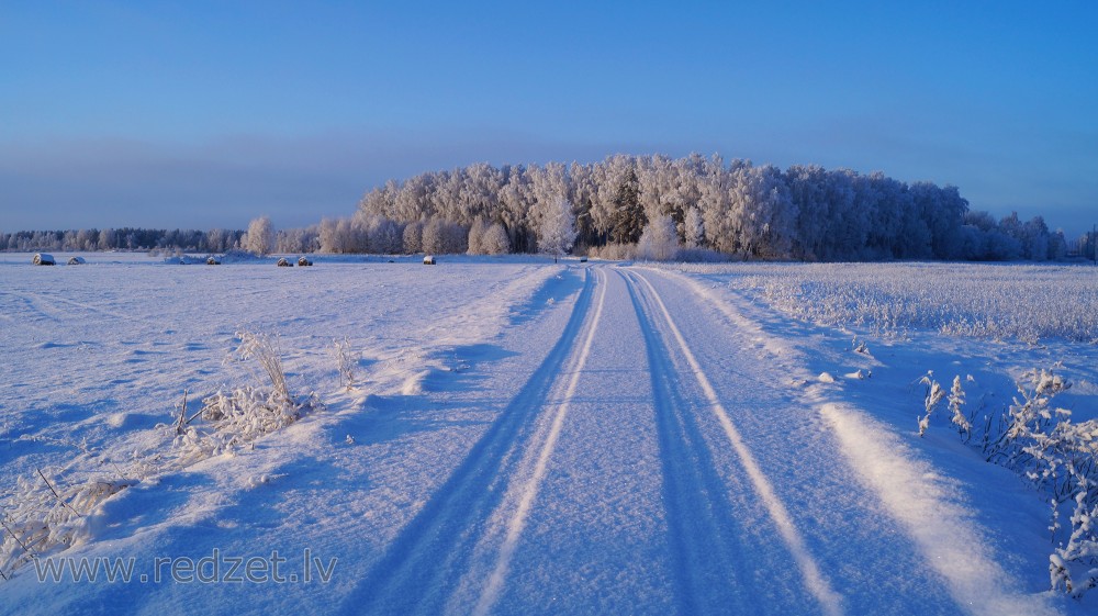 Ziemas ainava