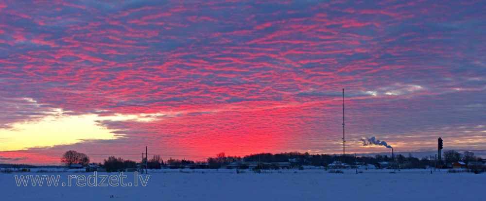 Winter morning view