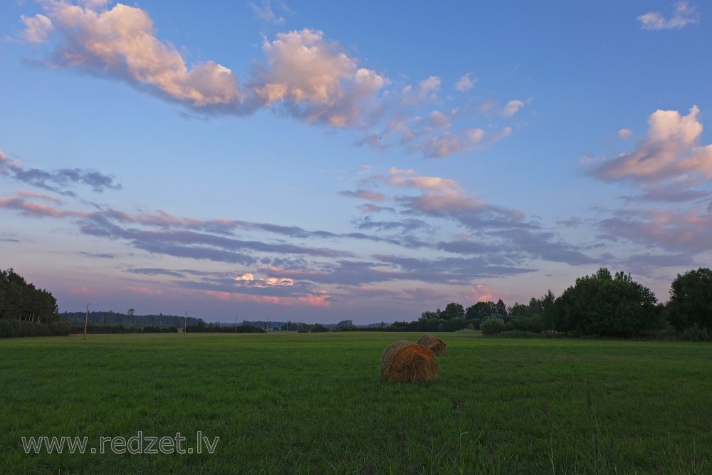 Evening landscape with hay rolls