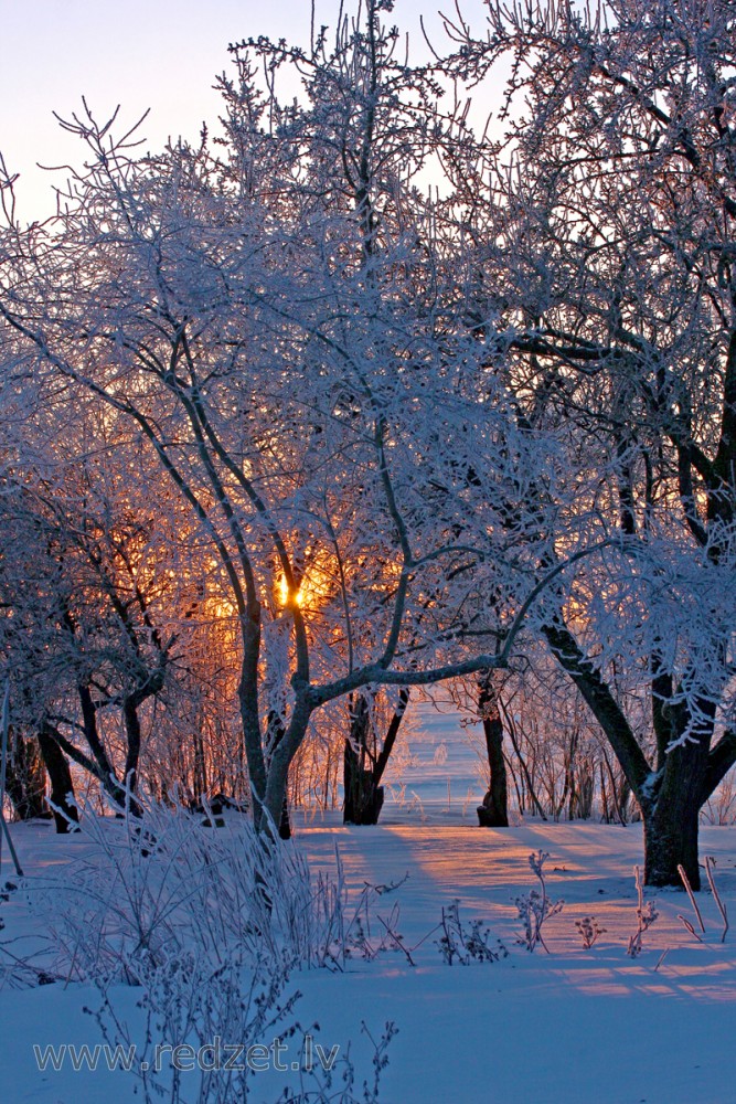 Ziemas rīts lauku mājās