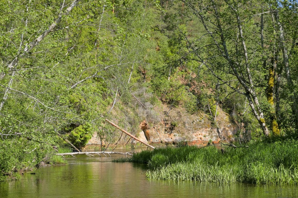 Augstais Rock (High Rock) of Aņīte