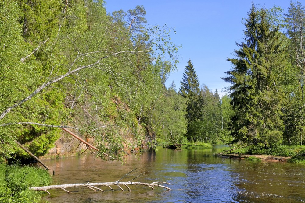 Augstais Rock (High Rock) of Aņīte
