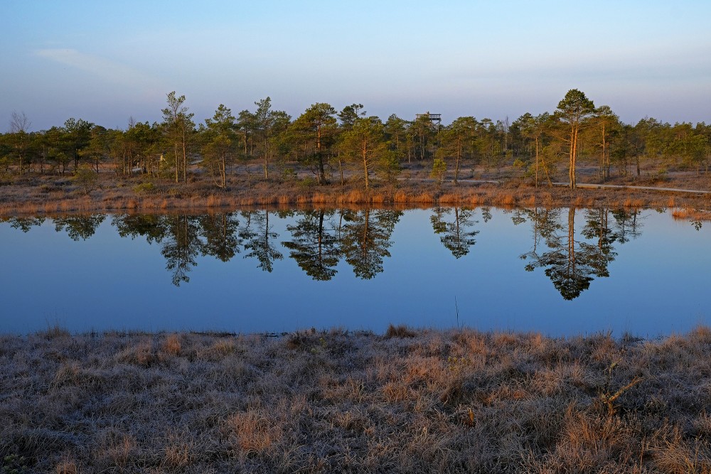 Swamp Lakes, Reflection In Water