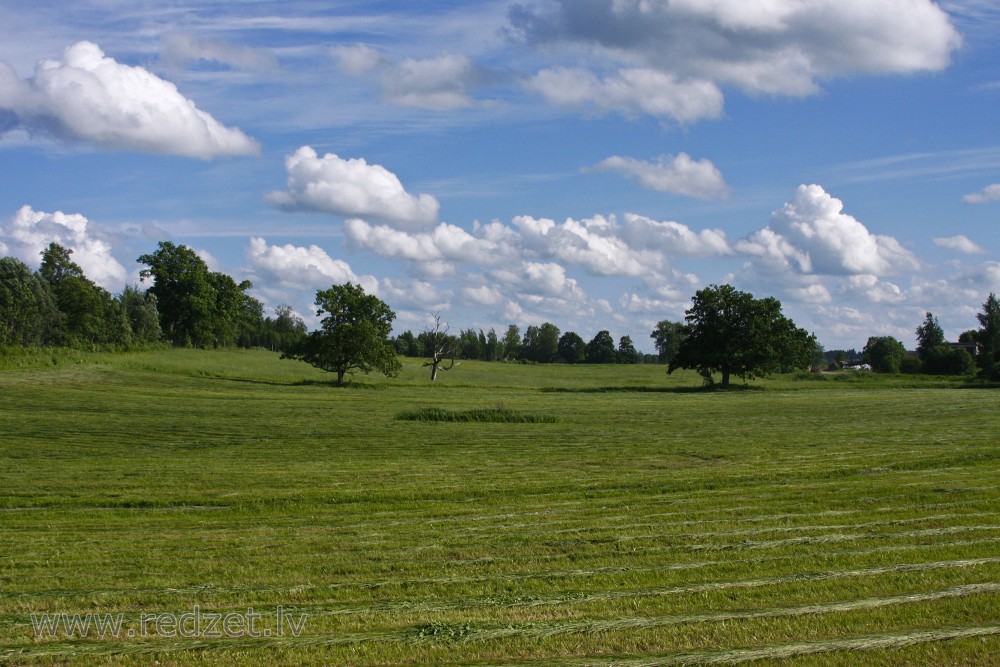 Nopļauta pļava