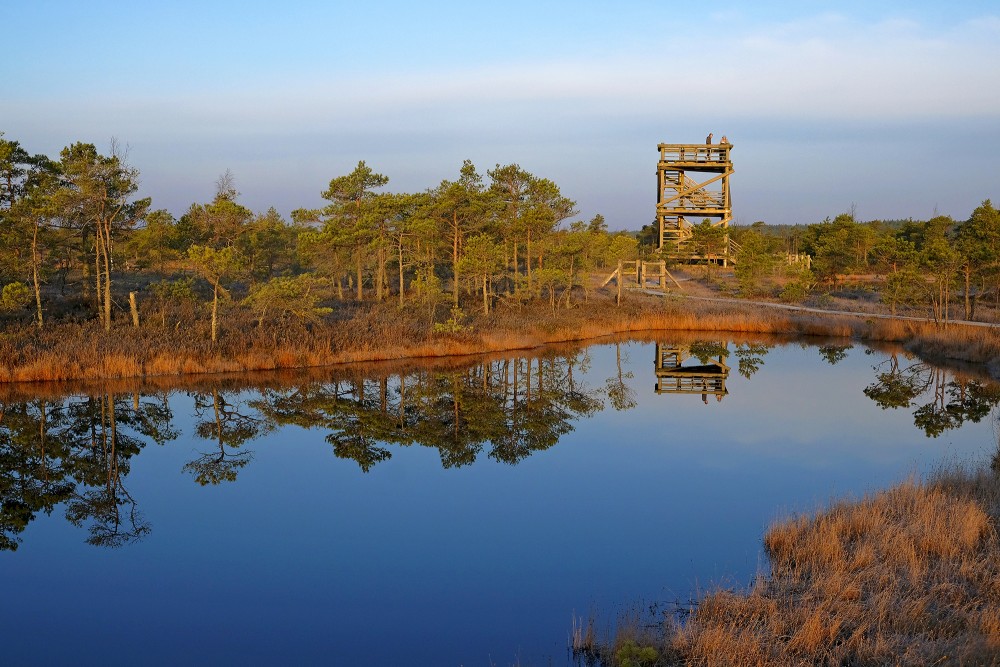 The Viewing Tower Of The Great Ķemeri Bog