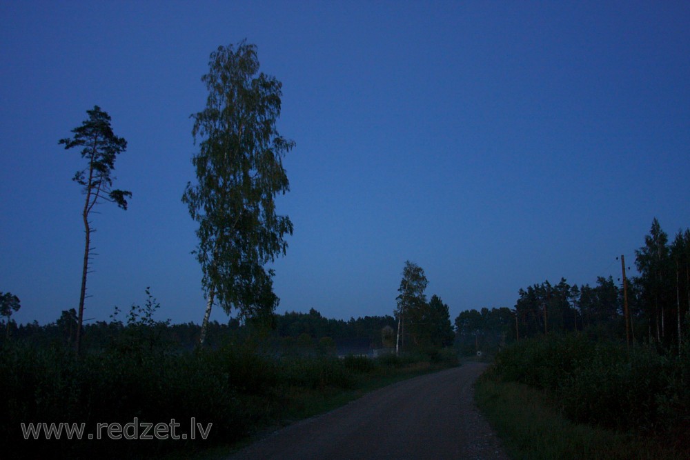 Meža ceļš naktī