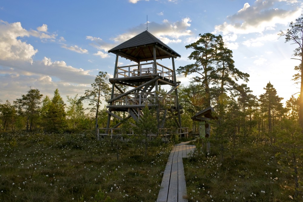 Viewing Tower at the Cena Bog