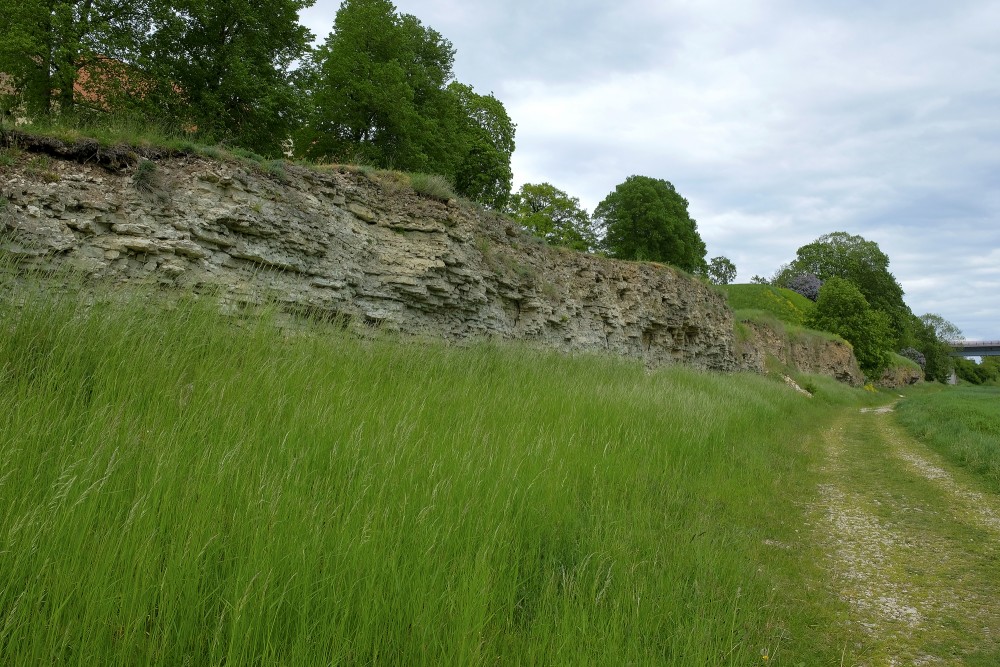 Dolomite Outcrops of the Right Bank of the Mūsa River in Bauska