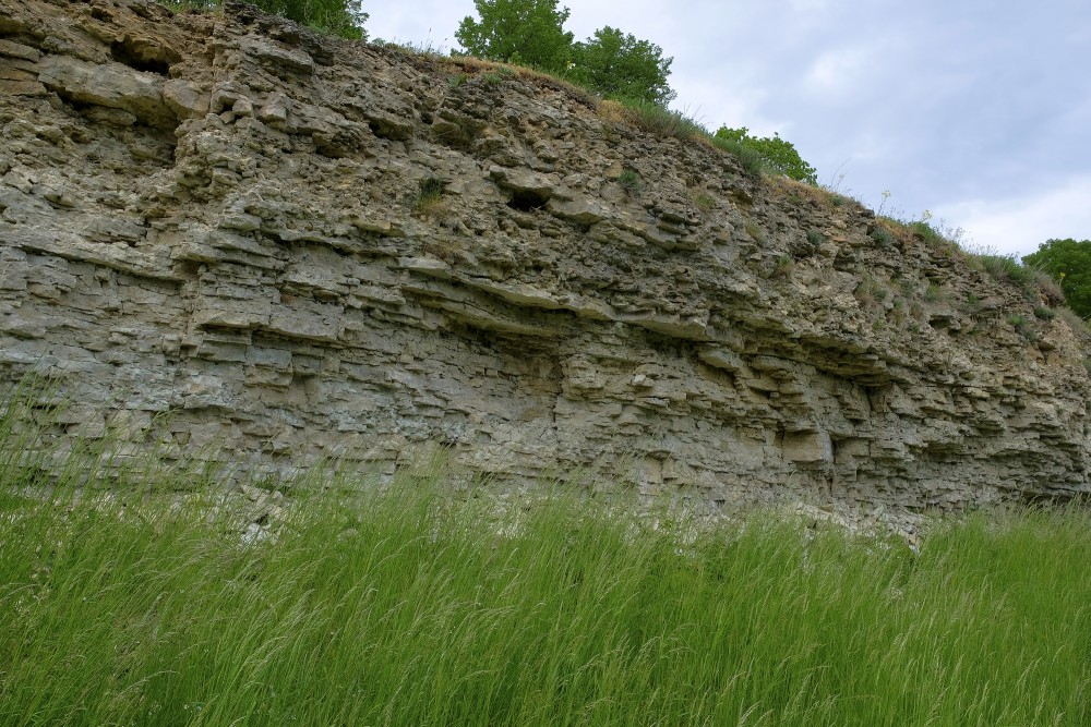 Dolomite Outcrops of the Right Bank of the Mūsa River in Bauska