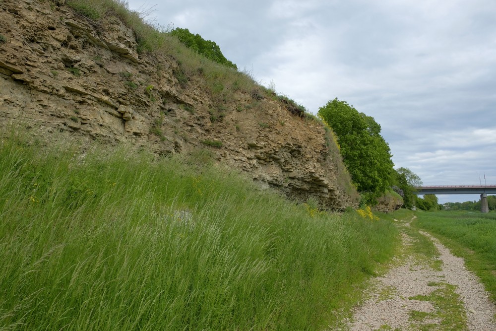 Dolomite Outcrops of the Right Bank of the Mūsa River in Bauska