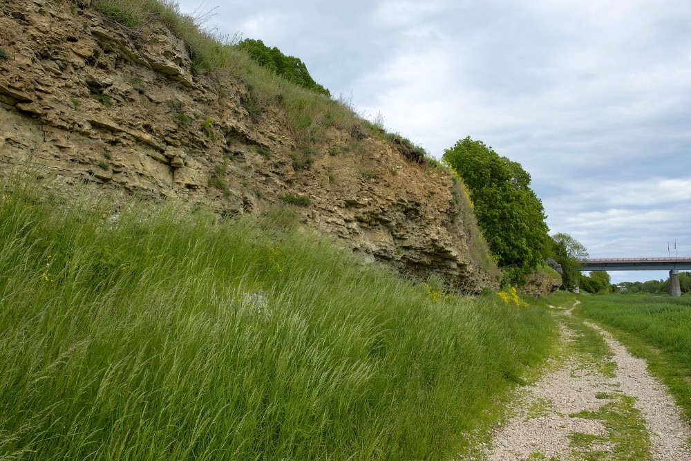 Mūsas labā krasta dolomīta atsegumi Bauskā