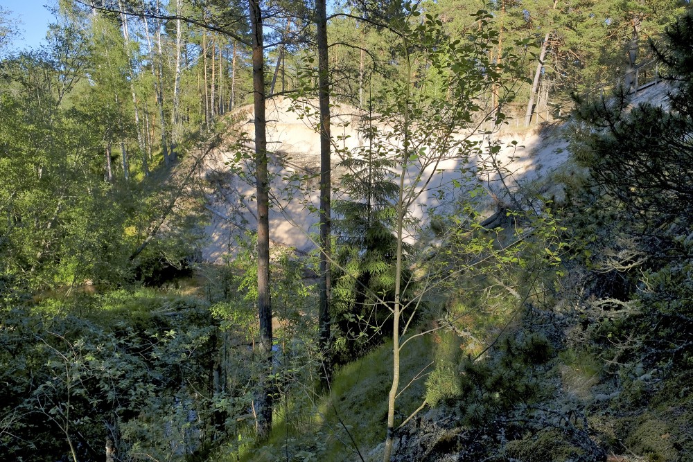 Pūrciema Baltās kāpas dabas taka Pūrciema Baltās kāpas dabas taka