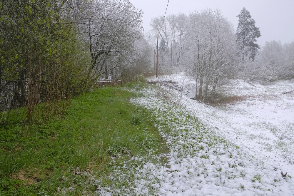 Snow in late April