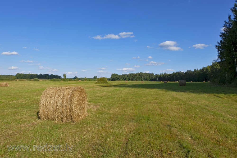 Landscape with hay rolls