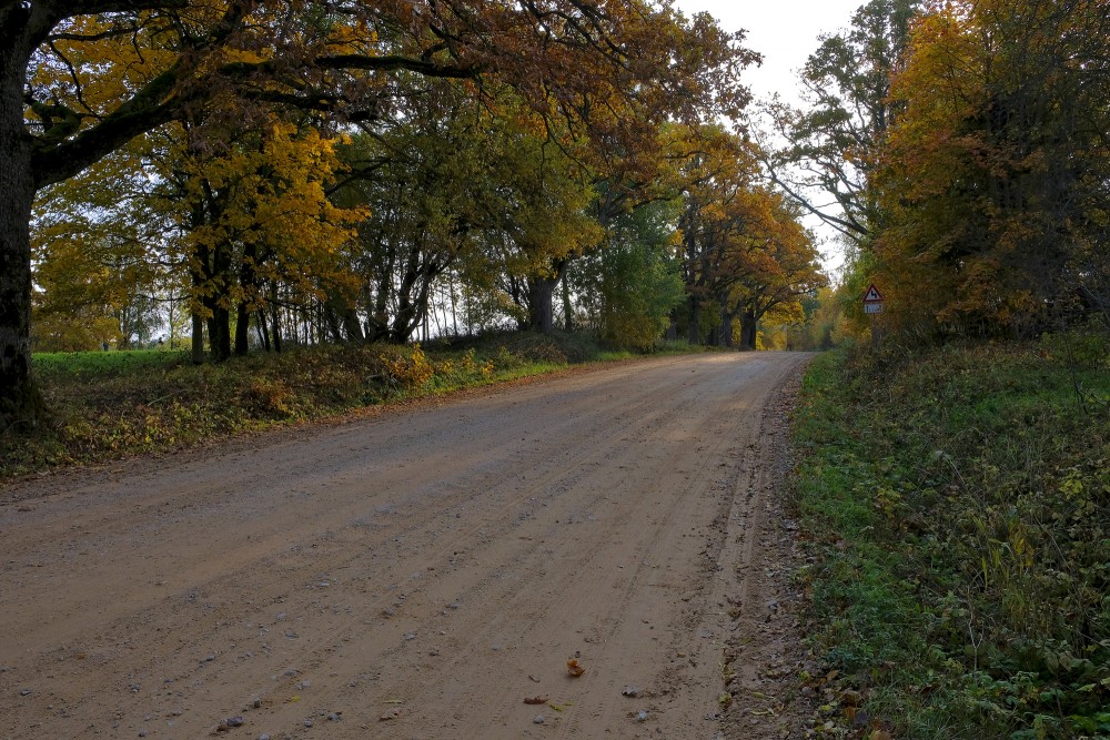 Autumn Landscape, Gravel Road