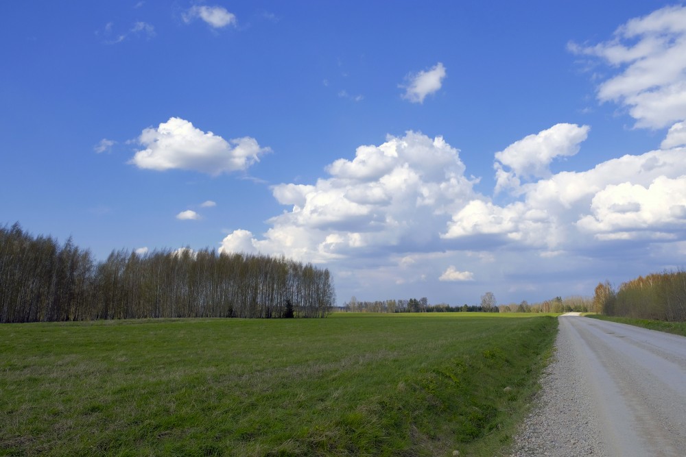 Spring landscape, Gravel road, Cumulus clouds