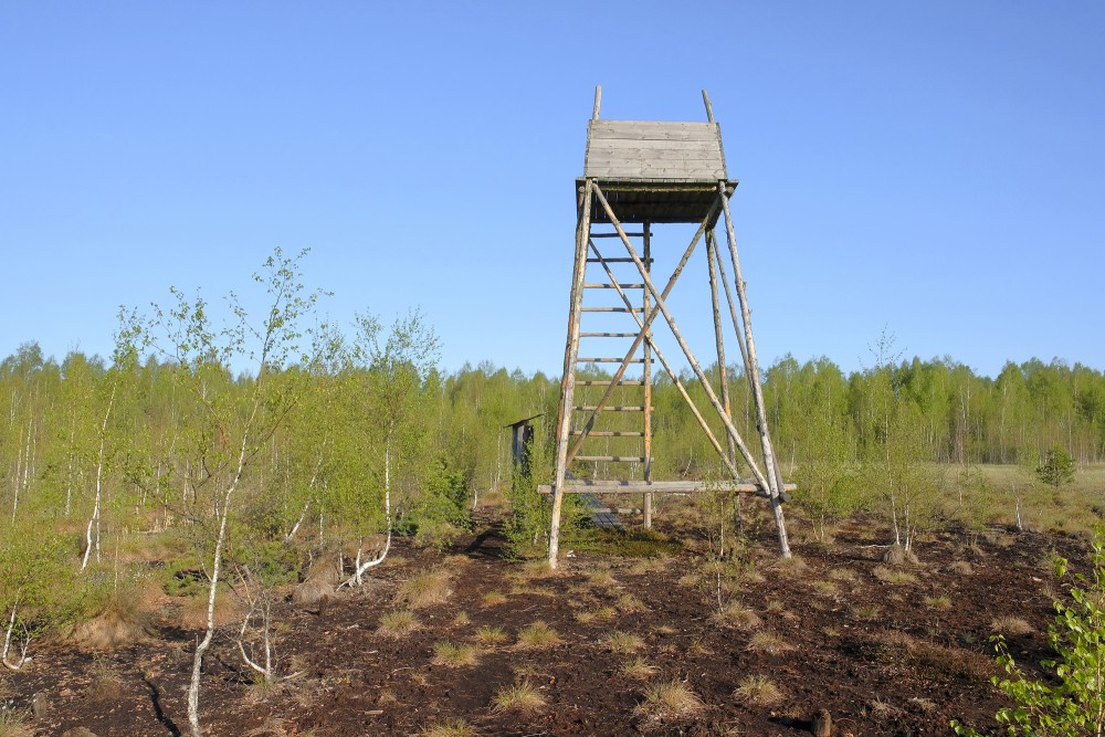 Black Lake Swamp Watchtower