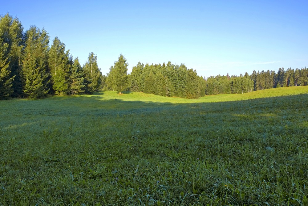 Ainava ar pļavu