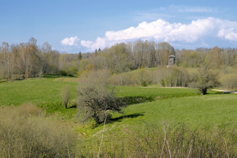 Embūte old valley in Spring, Watchtower