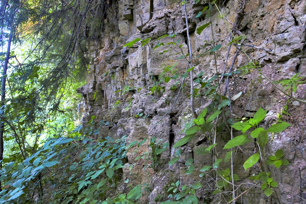 Amata Dolomite Cliff