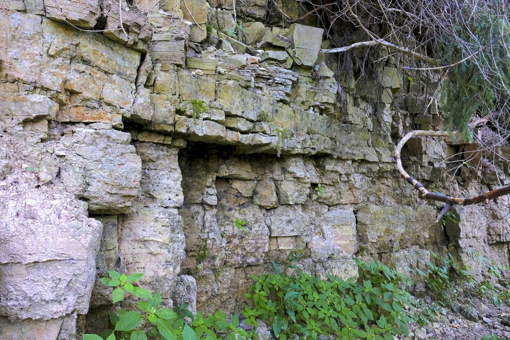 Amata Dolomite Cliff