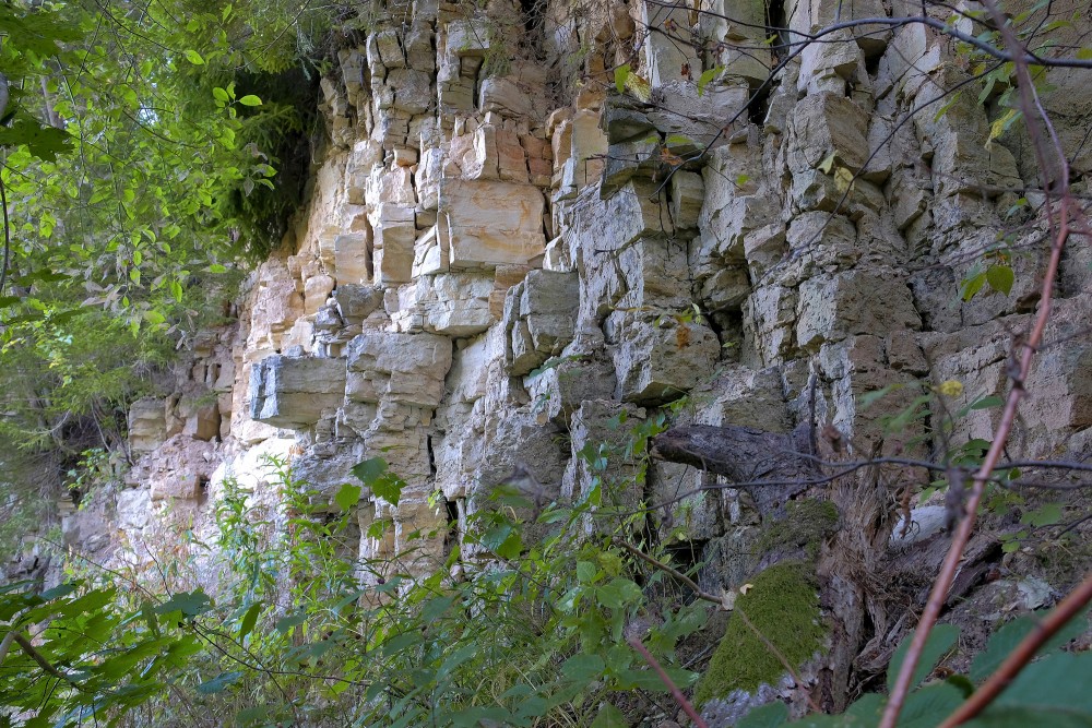 Amata Dolomite Cliff