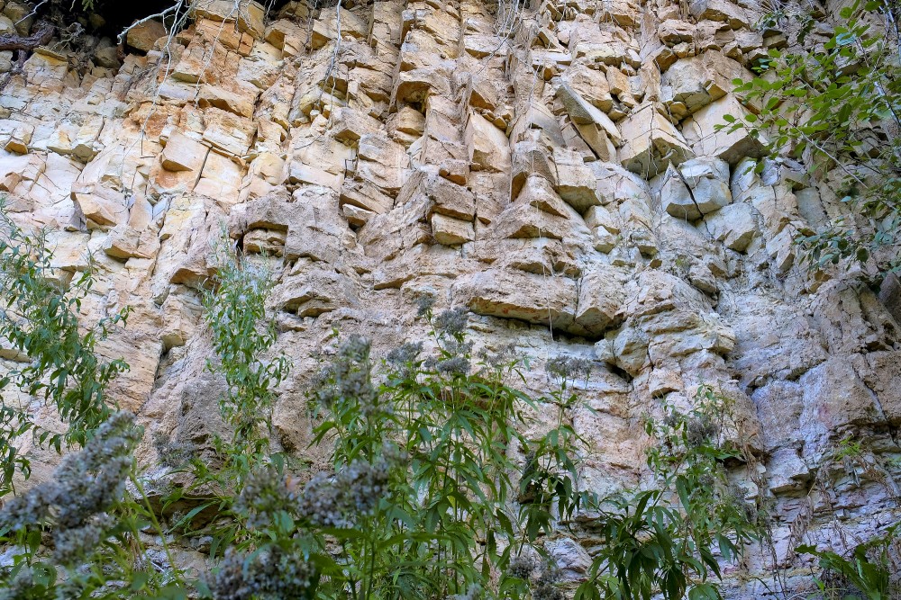 Amata Dolomite Cliff