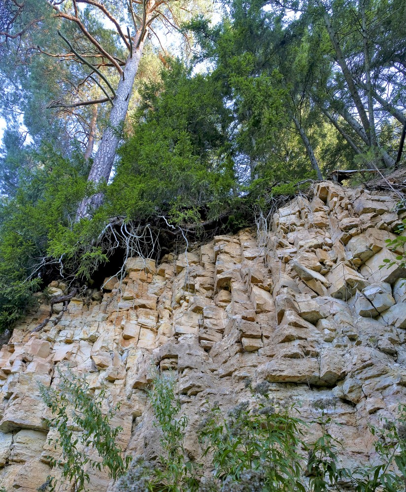 Amata Dolomite Cliff