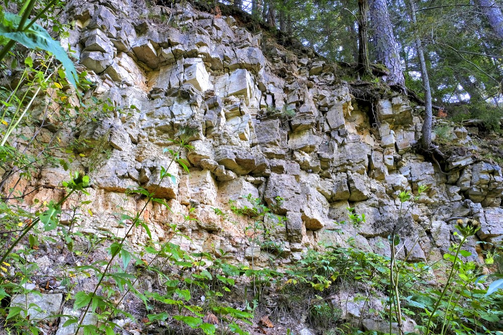 Amata Dolomite Cliff, Latvia