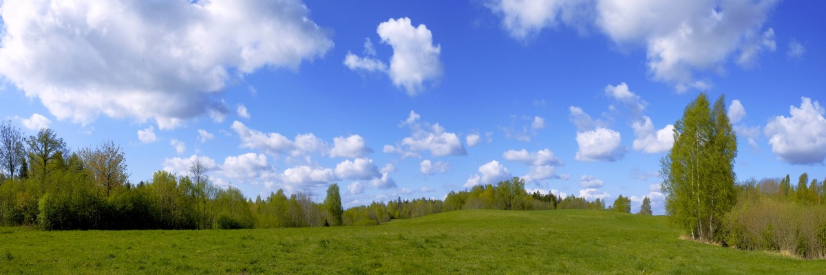 Pauguraina lauku panorāma ar gubumākoņiem Pauguraina lauku panorāma ar gubumākoņiem