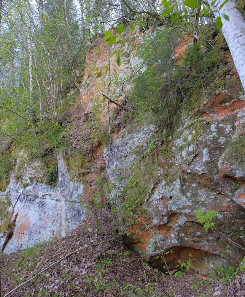 Tītmaņu iezis (Līgatne)