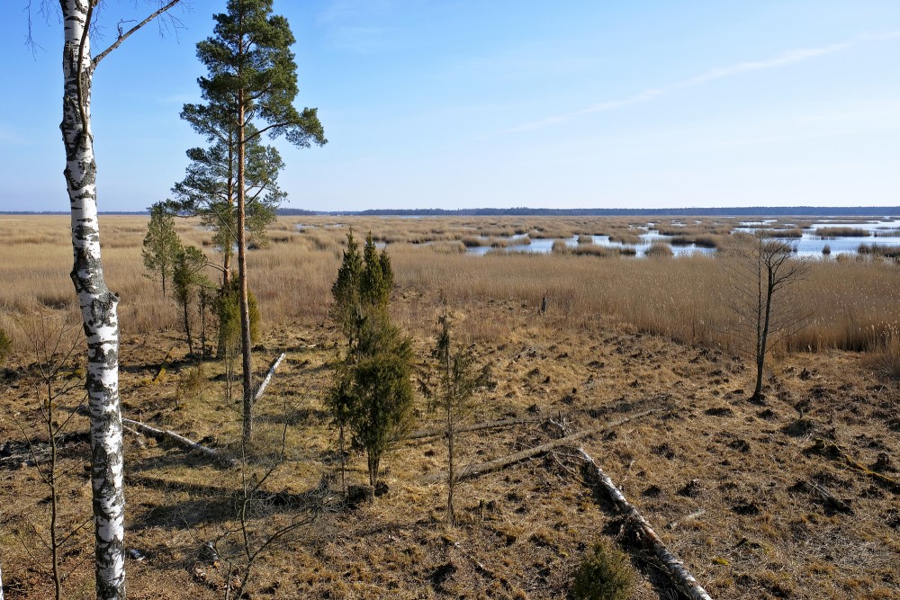 Skats no Kaņiera pilskalna skatu torņa