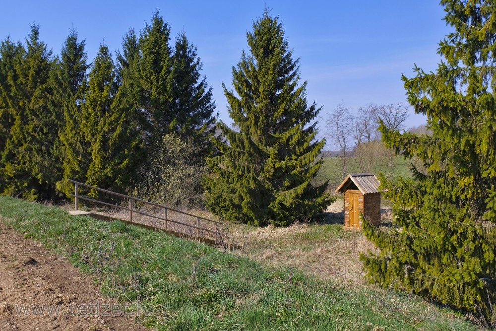 Small House between Spruces