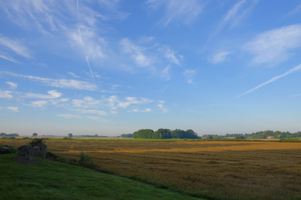Morning Landscape, Harvested Crop Field