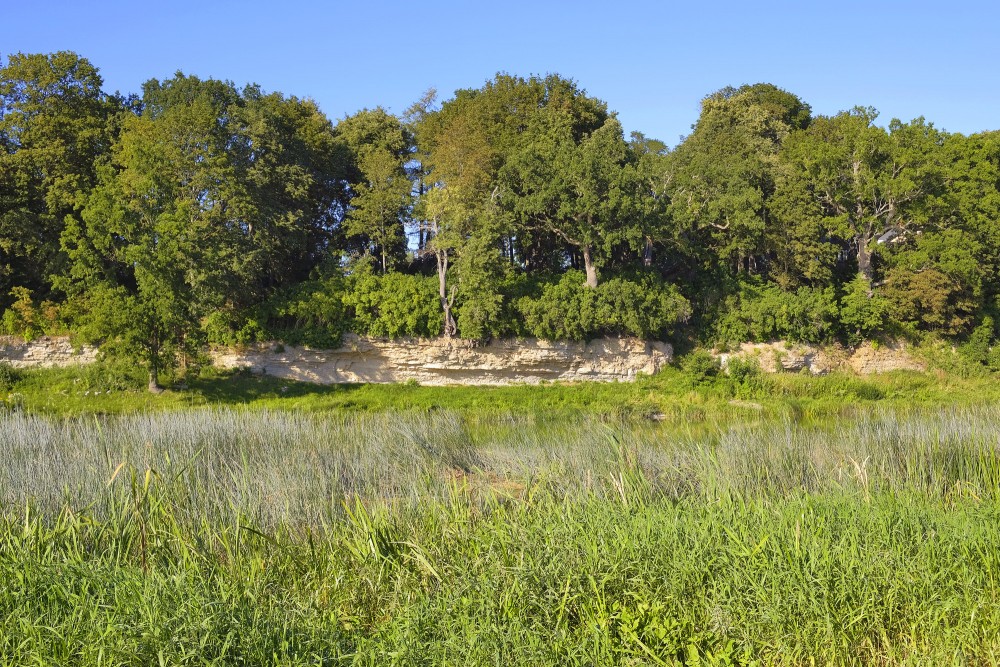 Jumprava Dolomite Outcrop