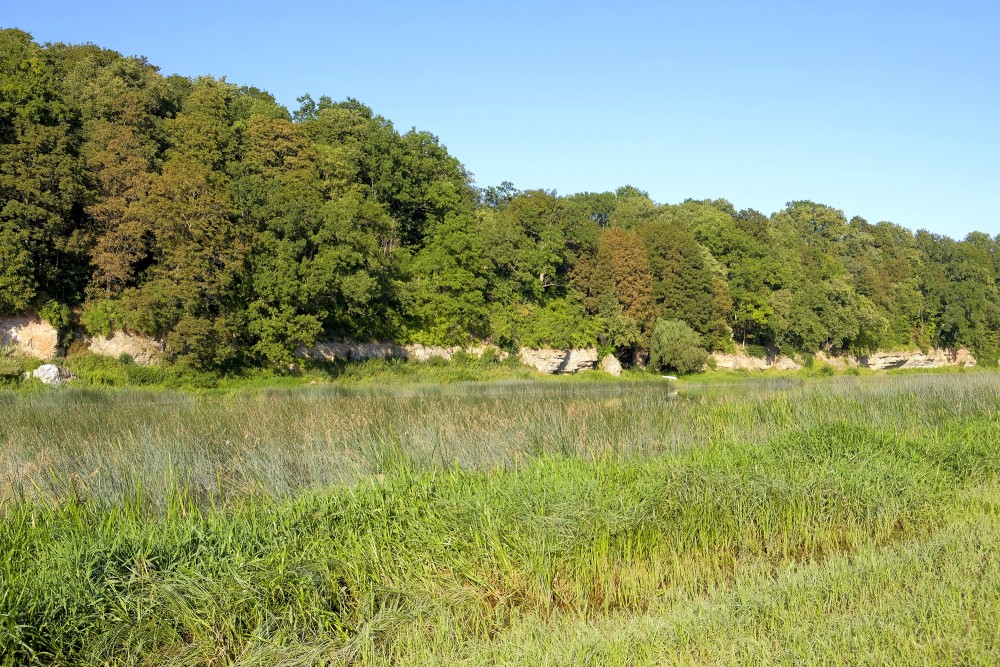 Jumprava Dolomite Outcrop