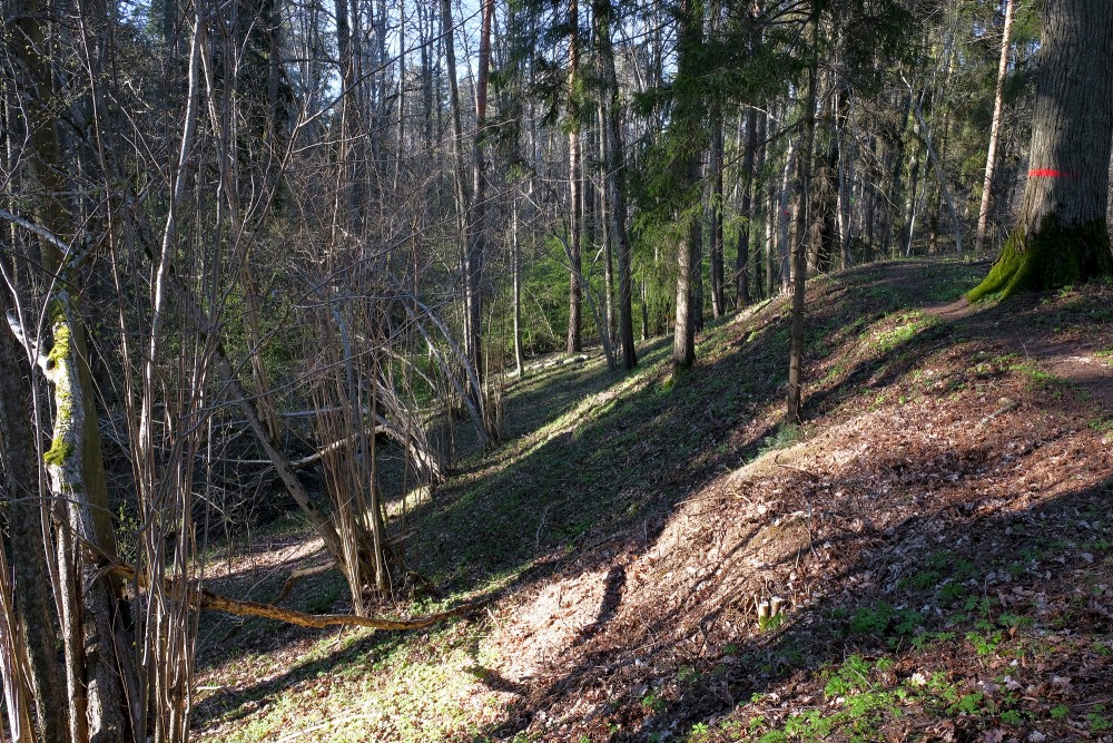 Nature Trail Of Ugāle In Spring