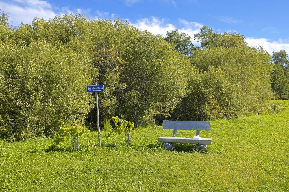 Gaujas izteka no Ežupītes Gaujas izteka no Ežupītes