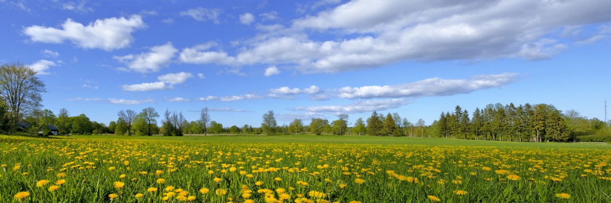 Pieneņu pļavas panorāma, gubumākoņi Pieneņu pļavas panorāma, gubumākoņi