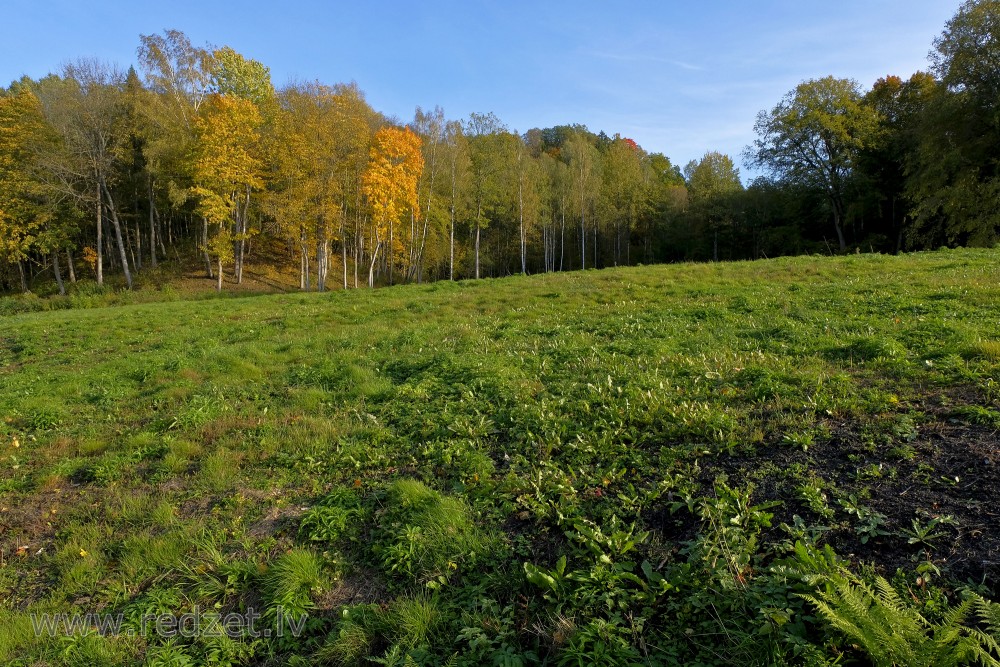 Sigulda Autumn Landscape