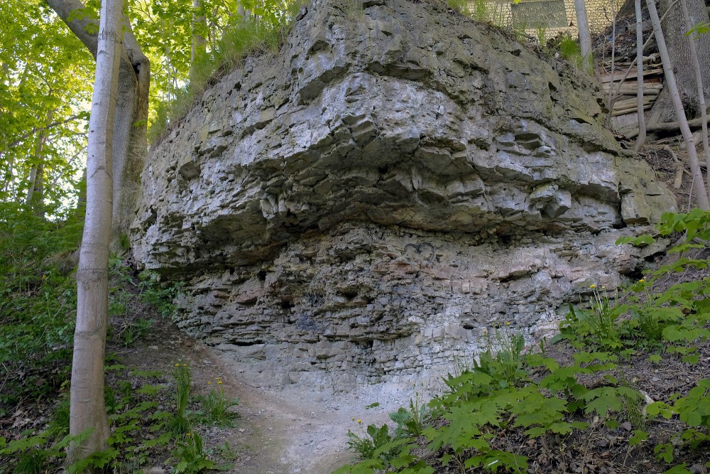Dolomite Outcrops on the Dievdārziņš Nature Trail