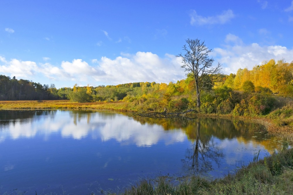 Embūtes pils dīķis un apkaime rudenī