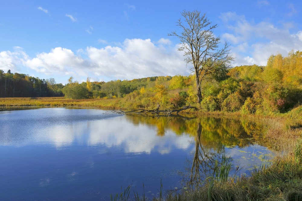 Embūtes pils dīķis un apkaime rudenī