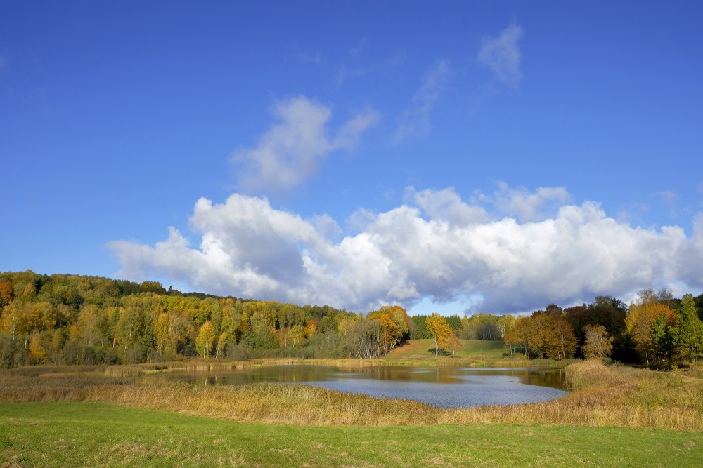 Embūtes senlejas ainava, Cepļupes dīķis