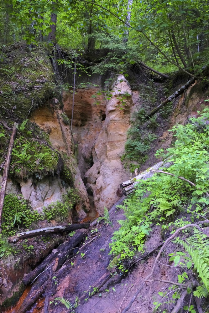 Walking Along The Līču-Laņģu Cliffs Trail