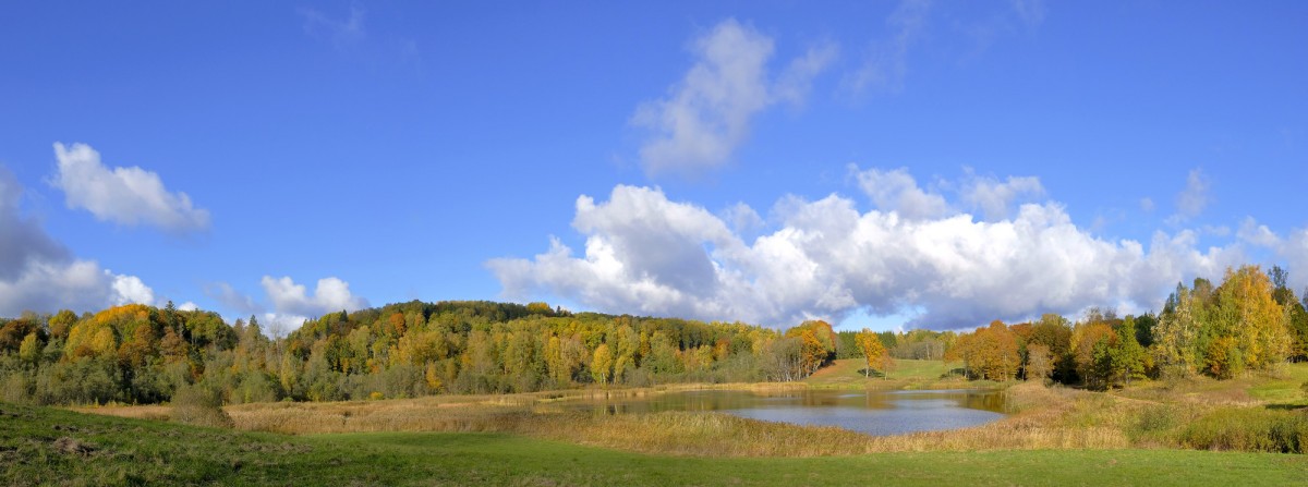 Embūtes senlejas panorāma, Cepļupes dīķis