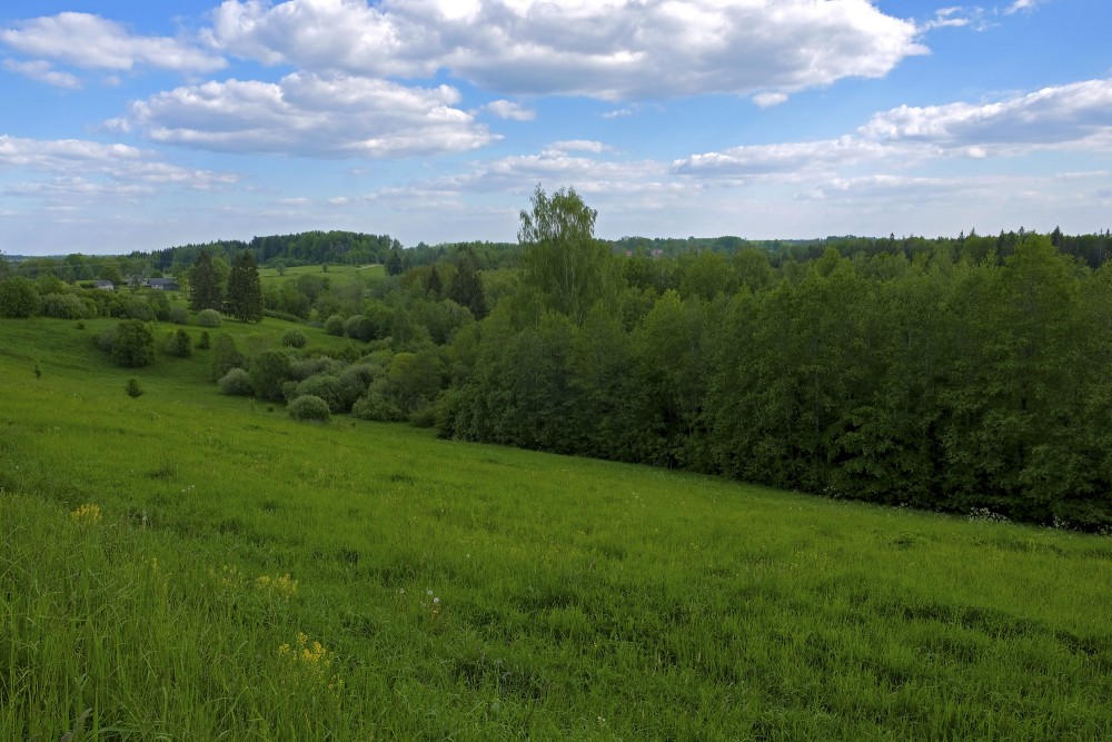 Latvian Landscape