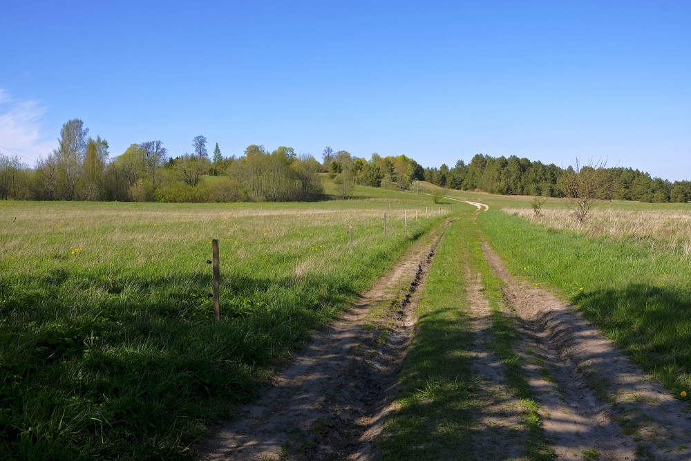 Sventāja Valley Landscape