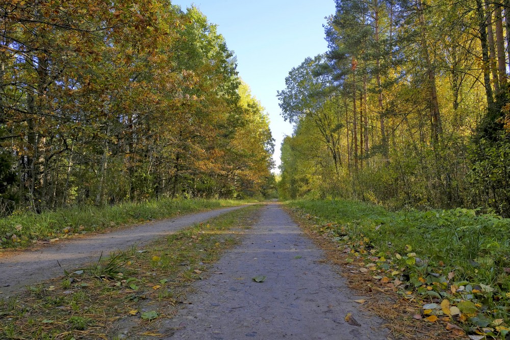 Ceļš Sātiņu dīķu teritorijā