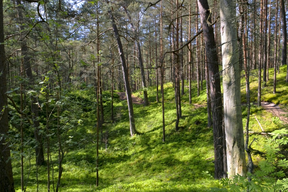 Bernātu piejūras dabas parks